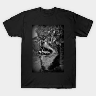 Jasper T-Shirt